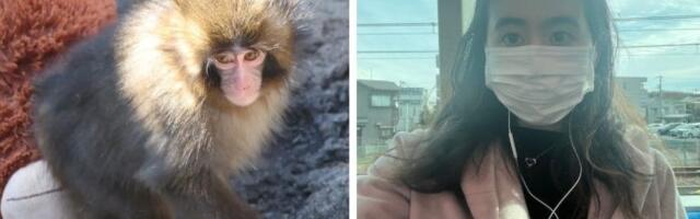 I visited Punch, the famous baby monkey, in Japan. Here's what TikTok doesn't show.