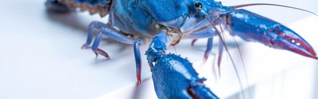 OpenClaw gives users yet another reason to be freaked out about security