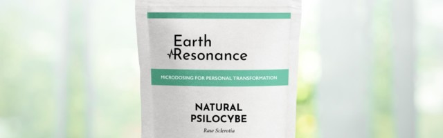 The startups that microdose magic mushrooms