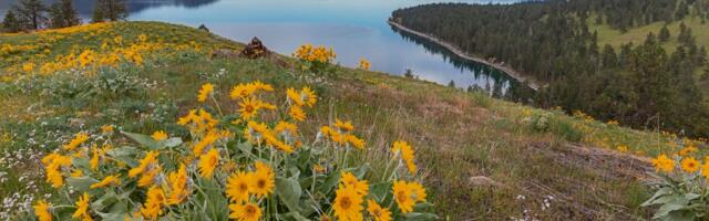 I grew up near Glacier National Park. After spending time there, check out these 6 hidden gems in the area.