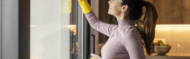 3 Costco Finds That You'll Want Handy For Spring Cleaning