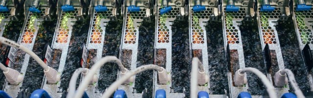 Here’s why Microsoft is submerging its servers in freaky-deeky fluids