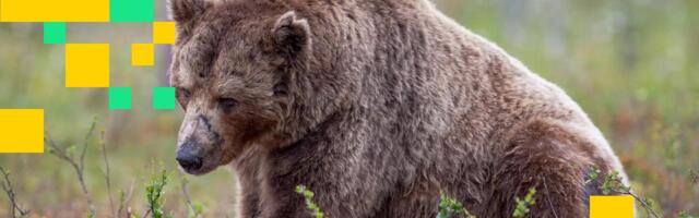 Crypto firms cut hundreds of jobs in weeks, blaming weak markets, strong AI