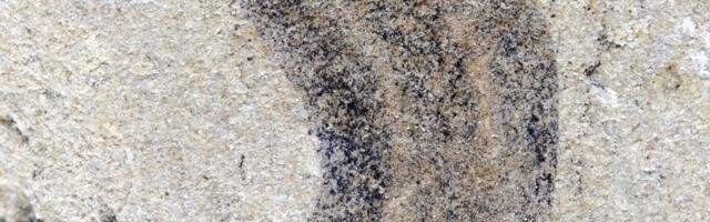 New fossil deposits show complex animal groups predating the Cambrian