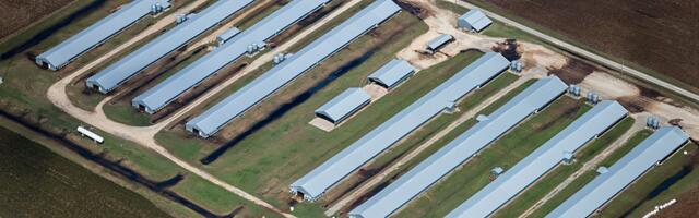 We can see factory farm pollution all the way from space