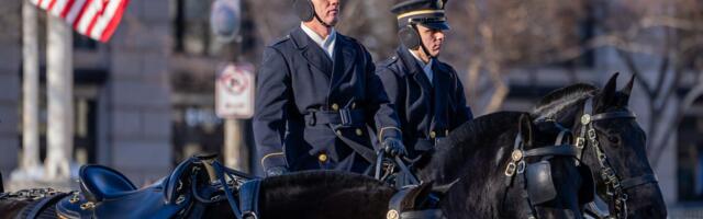 The US Army is saying goodbye to most of its horses. Here's why that might not be a bad thing.