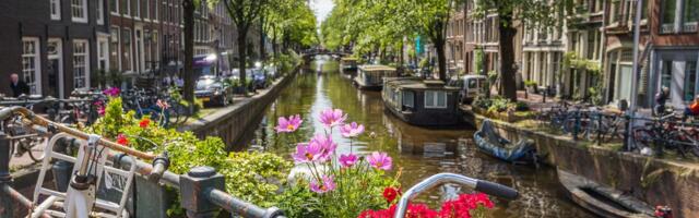 I've lived in the Netherlands for 10 years. Here are the 6 biggest mistakes I see tourists make.
