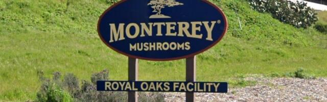 Sour California business climate helps spawn closure of big mushroom farm