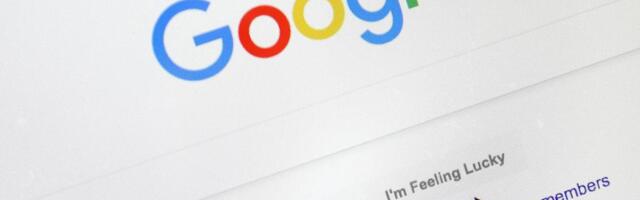 Top Google searches in 2024 has Bay Area ties