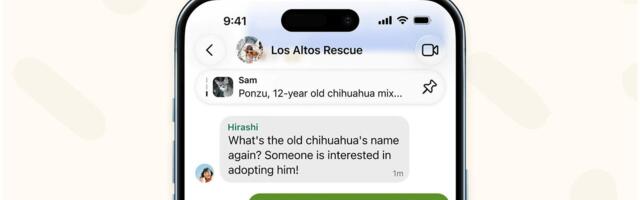 How to Make Sure Your Private Signal Messages Aren't Still Lurking on Your Phone