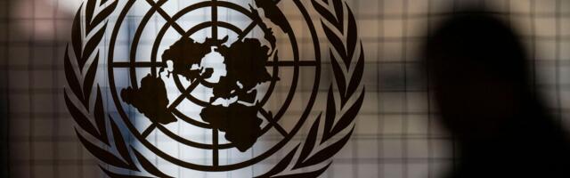 Exposed United Nations Database Left Sensitive Information Accessible Online