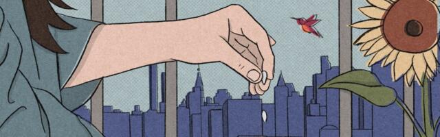 Yes, you can fight climate change in your backyard