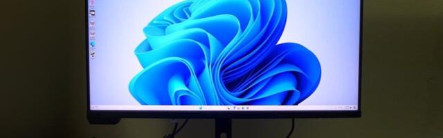 Asus ProArt PA32UCXR Mini LED review: A precision instrument with reference-level color accuracy