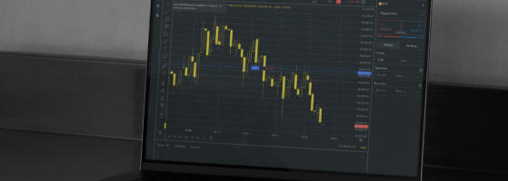 Why seasoned traders consume less information, not more