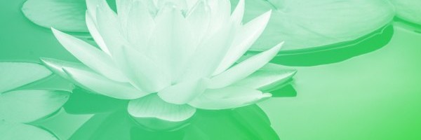 Remembering the startups we lost in 2020