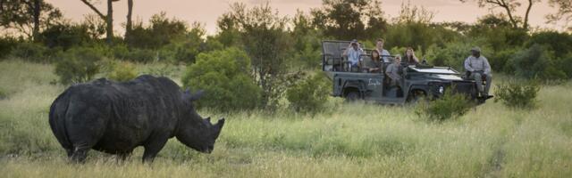 7 Trends Safari Operators in Africa Are Seeing For 2024