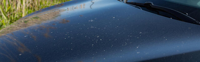 Can You Use Vinegar On Car Paint To Combat This Common Weather-Related Issue?
