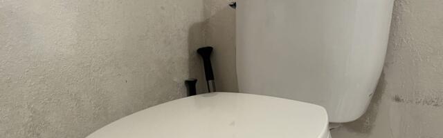 A Japanese toilet maker and seasoning giant are unlikely winners of the AI boom