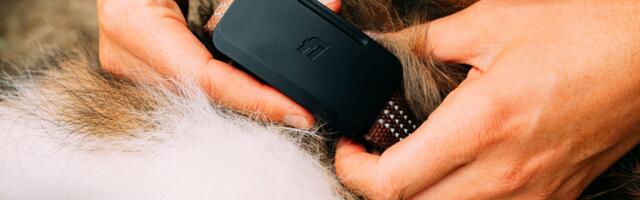 Fi Ultra becomes first dog tracker powered by Starlink satellites – the Fi Ultra Dog Tracker makes Fido trackable via satellite, onboard GPS, and LTE connectivity