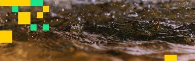 Hyperliquid Introduces 'Based Streams,' a DEX-Powered Live Streaming Platform