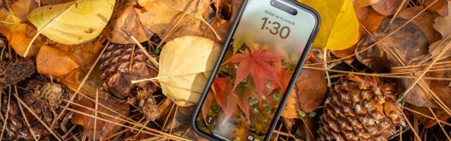 Wallpaper Wednesday: More great phone wallpapers for all to share (November 19)