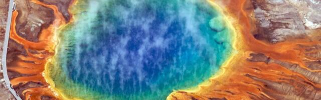 Earthquakes Did Something Unexpected to Life Deep Beneath Yellowstone