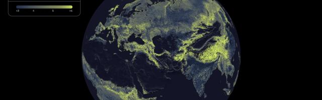 There’s a Global Network of Fungi Under Your Feet. This Is the First Complete Map