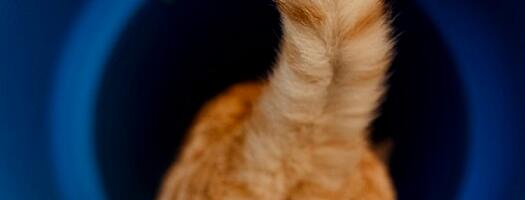 Uniform gravity, can it exist?