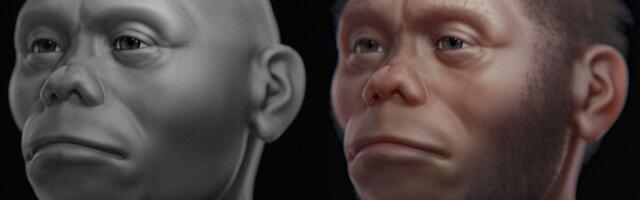 Here’s How This ‘Hobbit’-Like Human Ancestor Survived on an Island with Komodo Dragons