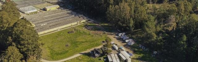 Cal/OSHA fines two farms where Half Moon Bay shooter killed seven people