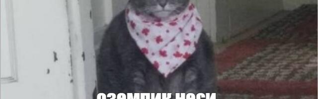 Как я худела на отечественном аналоге «Оземпика»: предрассудки, побочки и результаты