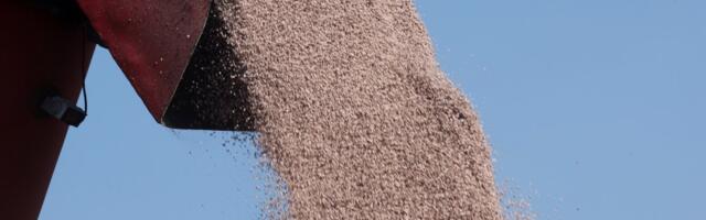 The pain from the Strait of Hormuz crisis will be felt far beyond the pump