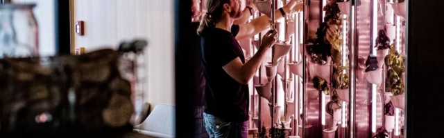 Estonia’s Natufia Labs moves to Saudi Arabia, raises $3.5 mln