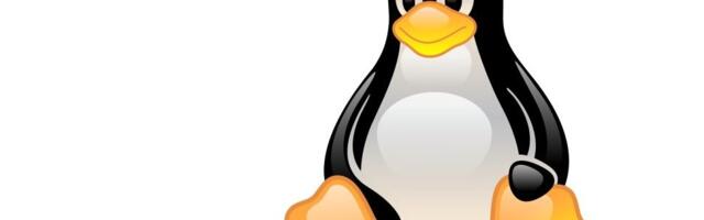 Several major Linux distros hit by serious Sudo security flaws