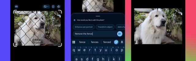 Gemini Really Good at Removing Fences From Your Photos
