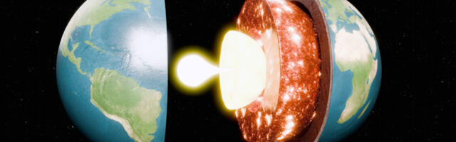 Meet the mysterious electrides