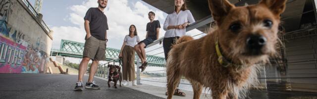 Pet training apps are hoping to be the Duolingo for dogs