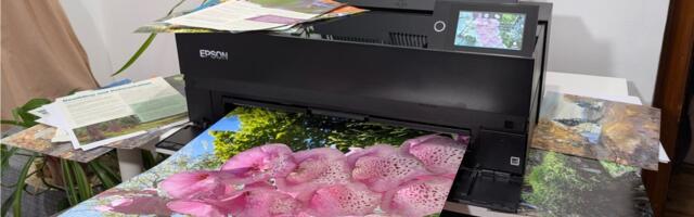 Epson SureColor P900 review: a photographer’s printer with poster-size prints