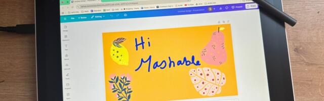 Im no professional artist, but the Wacom One 14 makes me feel like one