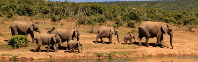 At Some Point, Founders Become “Just Employees”