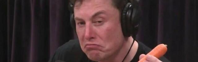 Tesla, SpaceX, Neuralink и другие проекты: путеводитель по технологической империи Илона Маска