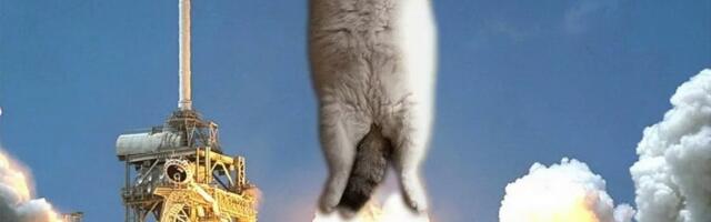 Запуск без копейки: 5 бесплатных маркетинговых инструментов для старта бизнеса