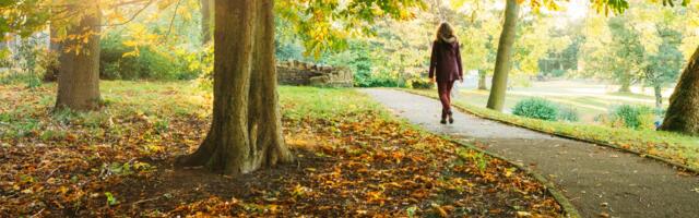 The NHS plans to offer rewards to people who walk for 30 minutes a day — here's everything we know, including the tech you'll need to take part