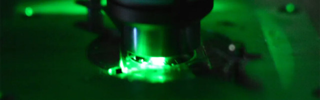 Laser-powered microscopes can destroy some biological samples — quantum tech fixes that