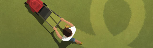 13 Tips To Maintain Your Lawn Mower