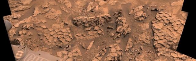 NASA’s Curiosity Rover Spots Strange Fish-Scale Patterns on Mars