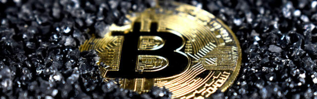 Even after the great crypto crash, enthusiasts see a bright future ahead