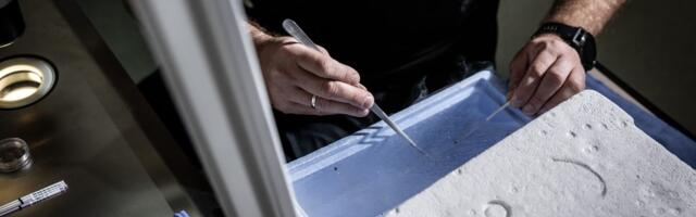 Fetal personhood laws, explained