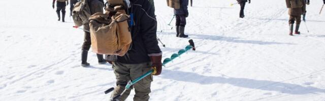 What ice fishing can teach us about making foraging decisions