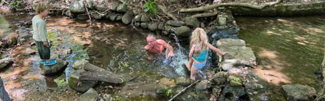 Germ-theory skeptic RFK Jr. goes swimming in sewage-tainted water